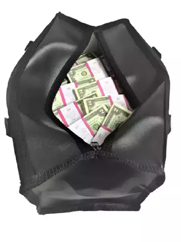 Сумка с деньгами 2 доллара, фото 1