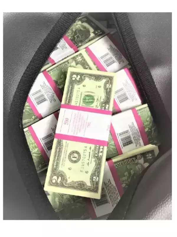 Сумка с деньгами 2 доллара, фото 2