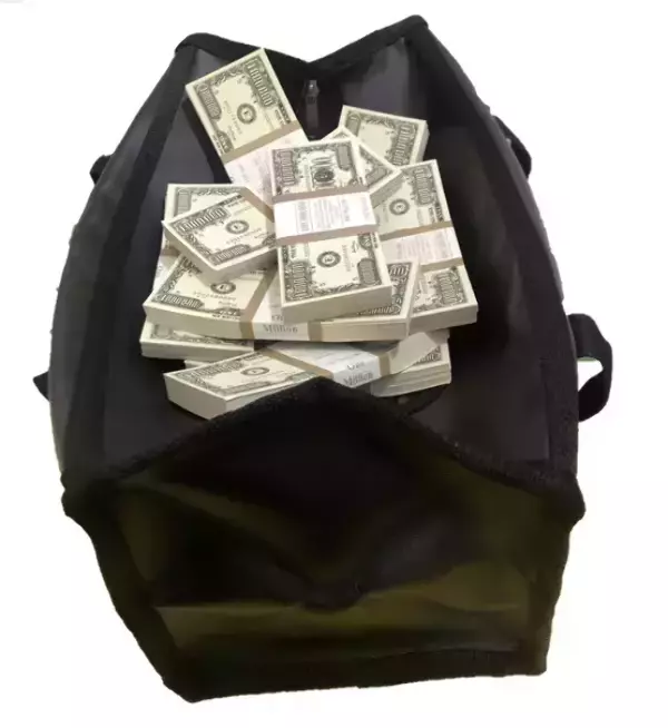 Сумка с деньгами 1,000,000 долларов, фото 1