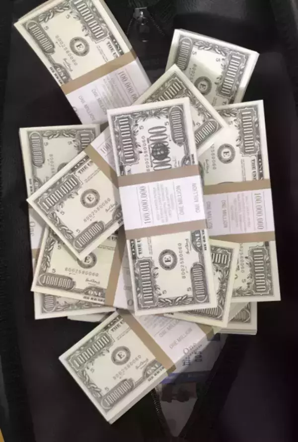 Сумка с деньгами 1,000,000 долларов, фото 2