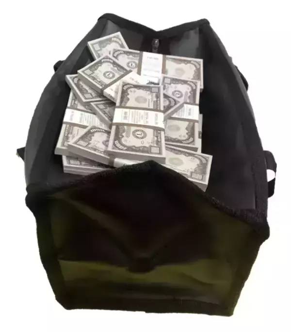 Сумка с деньгами 1000 долларов