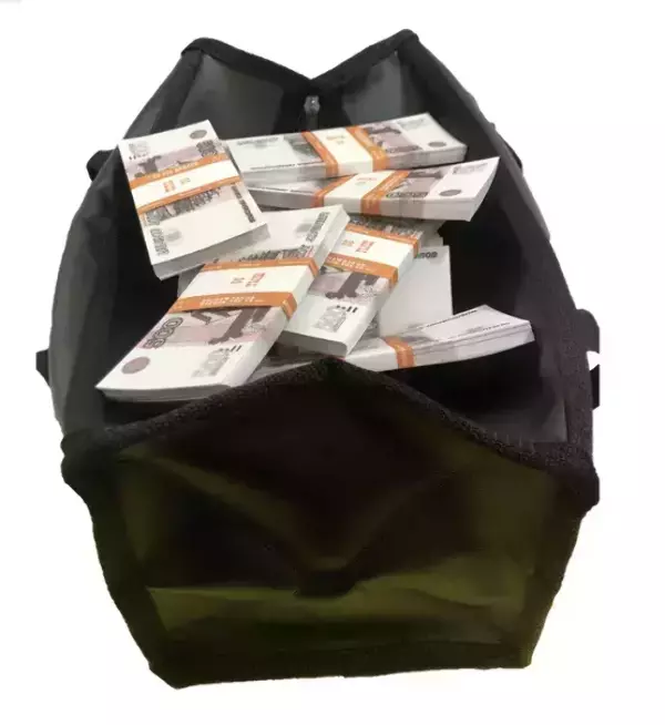 Сумка с деньгами 500 рублей