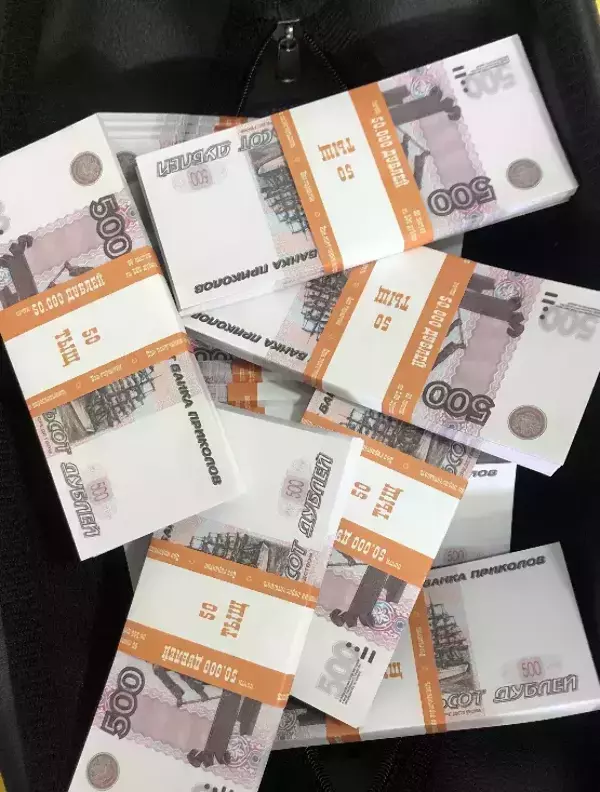 Сумка с деньгами 500 рублей, фото 2