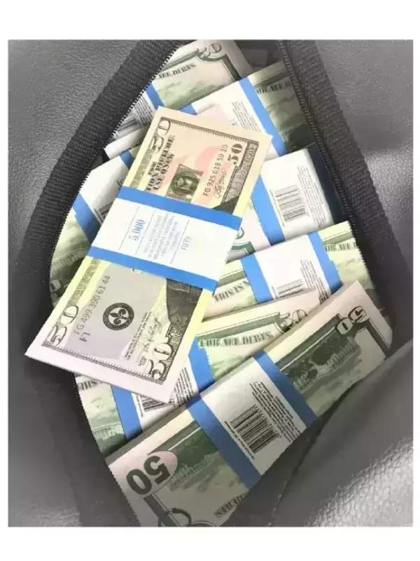 Сумка с деньгами 50 долларов, фото 2