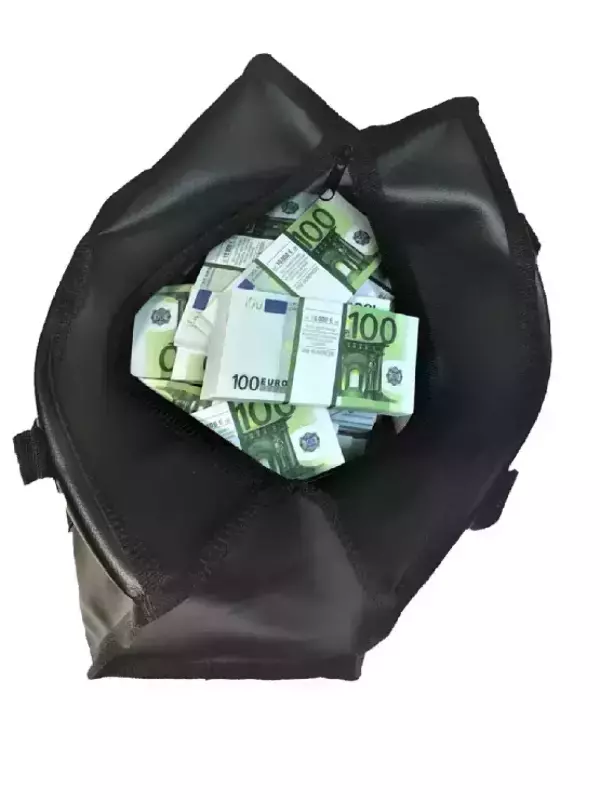 Сумка с деньгами 100 евро