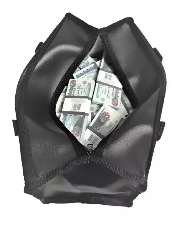 Сумка с деньгами 100 египетских фунтов