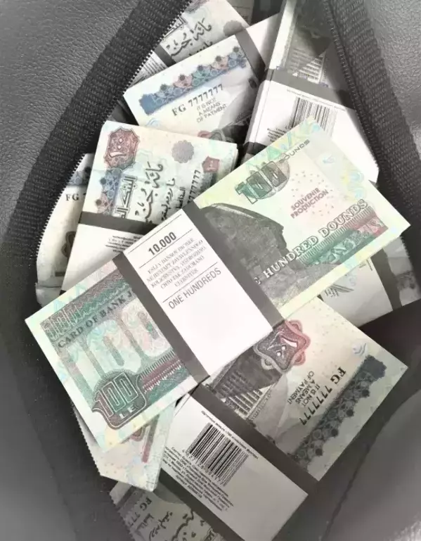 Сумка с деньгами 100 египетских фунтов, фото 2
