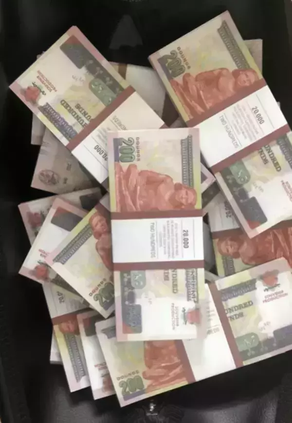 Сумка с деньгами 200 египетских фунтов, фото 2