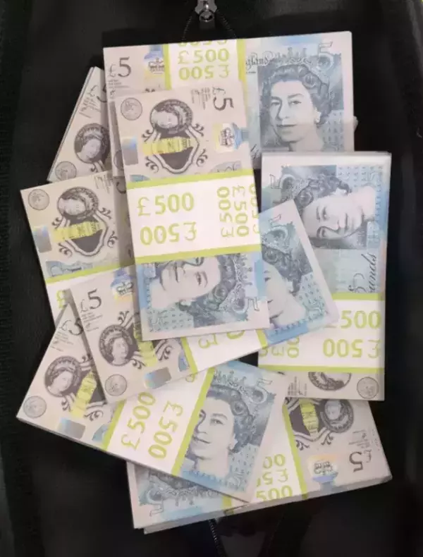 Сумка с деньгами 5 фунтов, фото 2