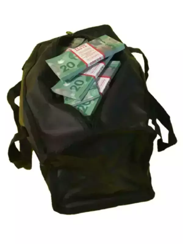 Сумка с деньгами 20 канадских долларов