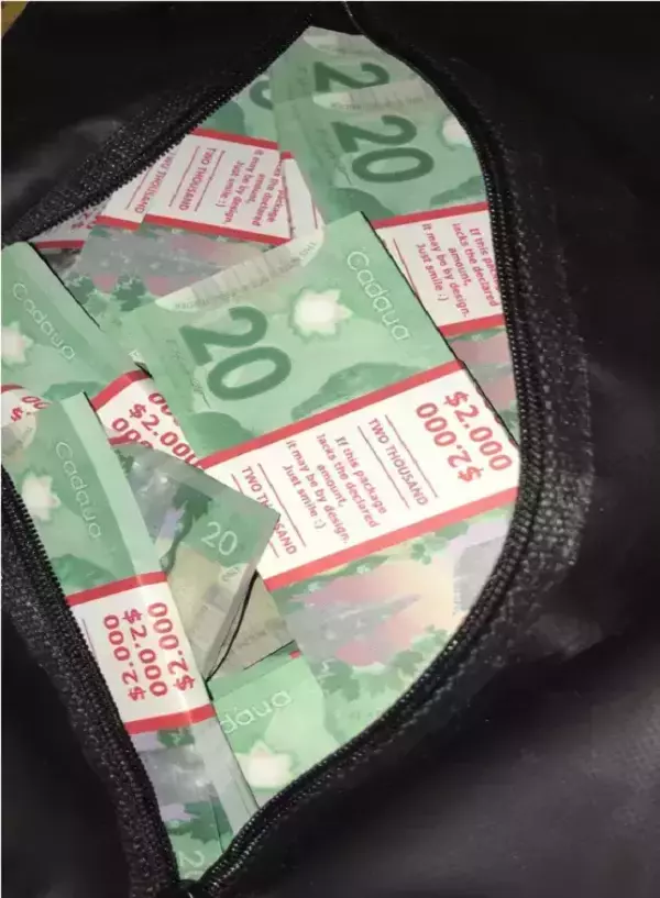 Сумка с деньгами 20 канадских долларов, фото 2