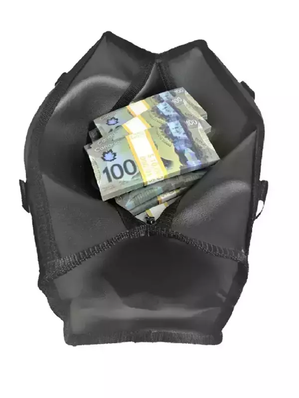 Сумка с деньгами 100 канадских долларов