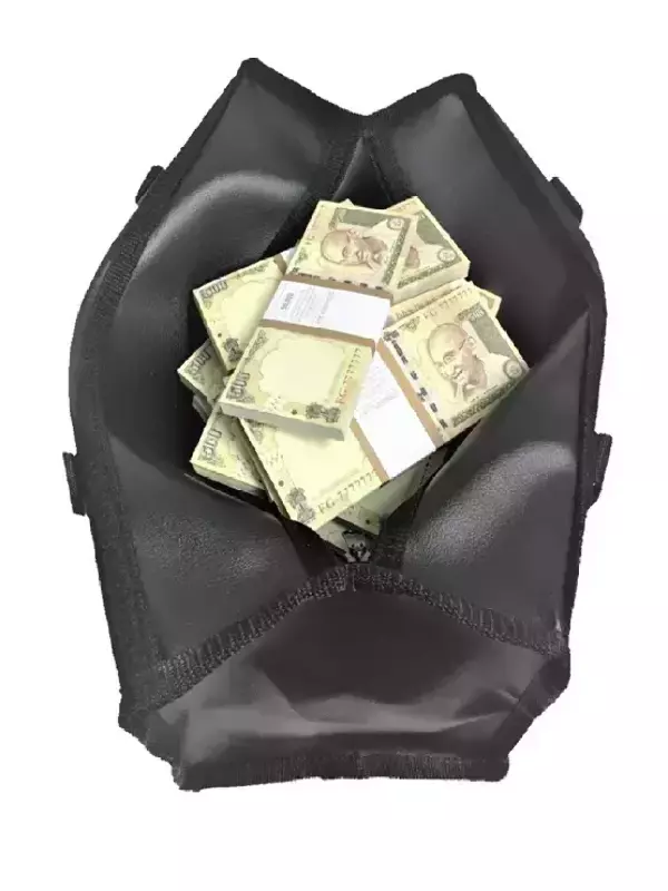 Сумка с деньгами 500 рупий