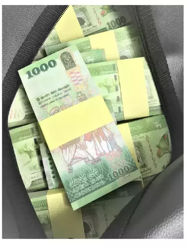 Сумка с деньгами 1000 шри-ланка, фото 2