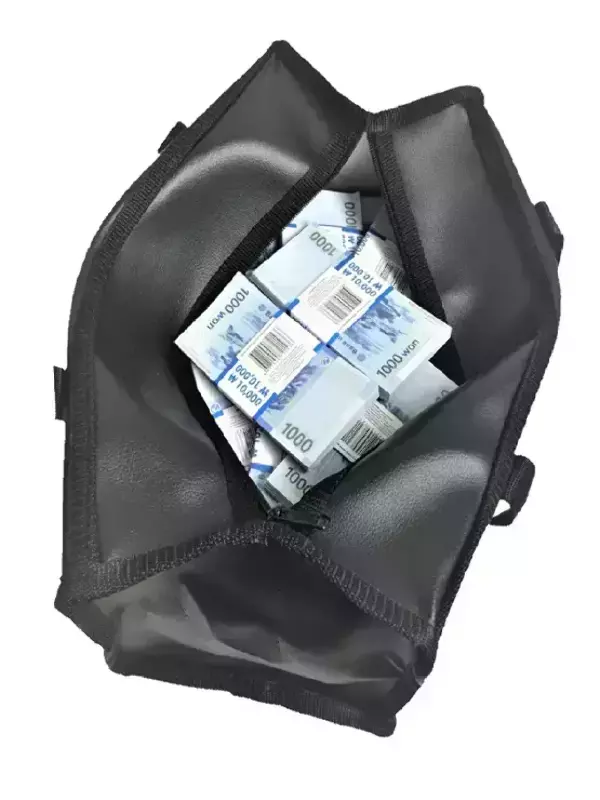 Сумка с деньгами 1000 вон