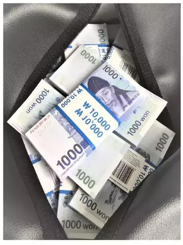 Сумка с деньгами 1000 вон, фото 2