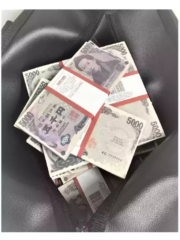 Сумка с деньгами 5000 йен, фото 2
