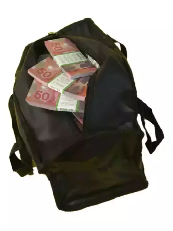 Сумка с деньгами новых 50 канадских долларов