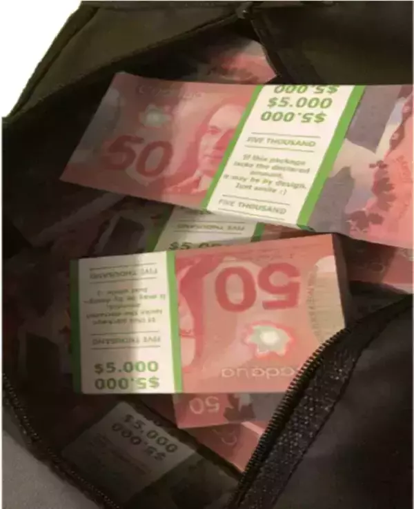 Сумка с деньгами новых 50 канадских долларов, фото 2