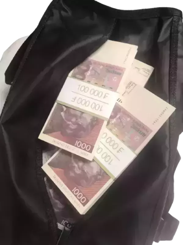 Сумка с деньгами 1000 немецких марок, фото 2