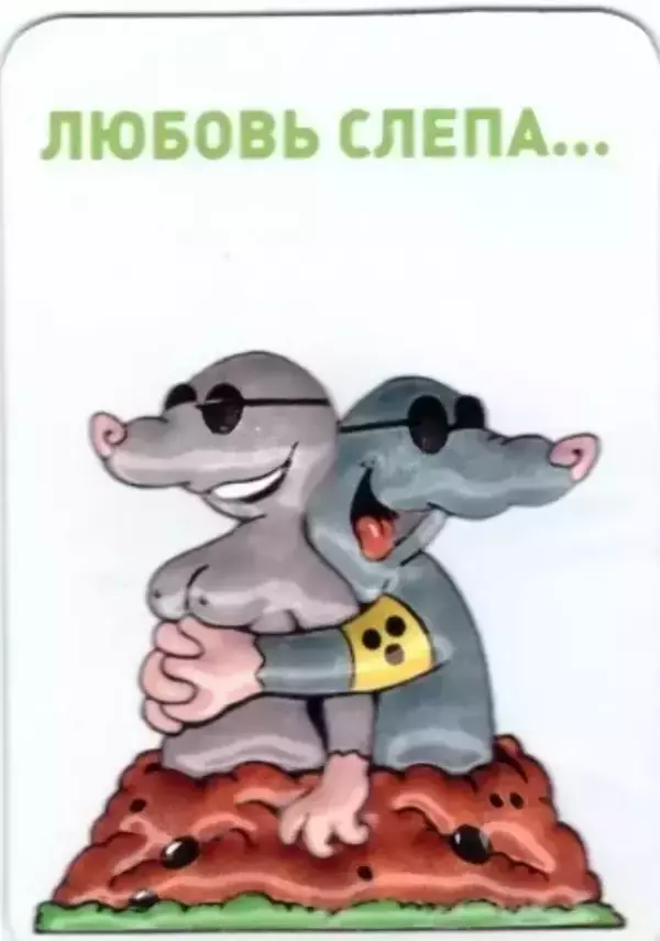 Магнит прикол Любовь слепа объёмный