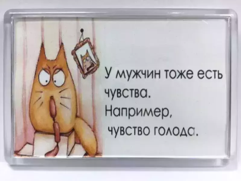 Магнит на холодильник “У мужчин тоже есть чувства”