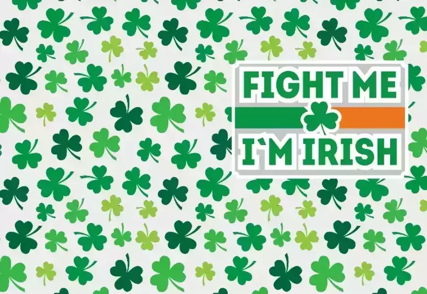 Обложка на паспорт “Ireland 17”, фото 2