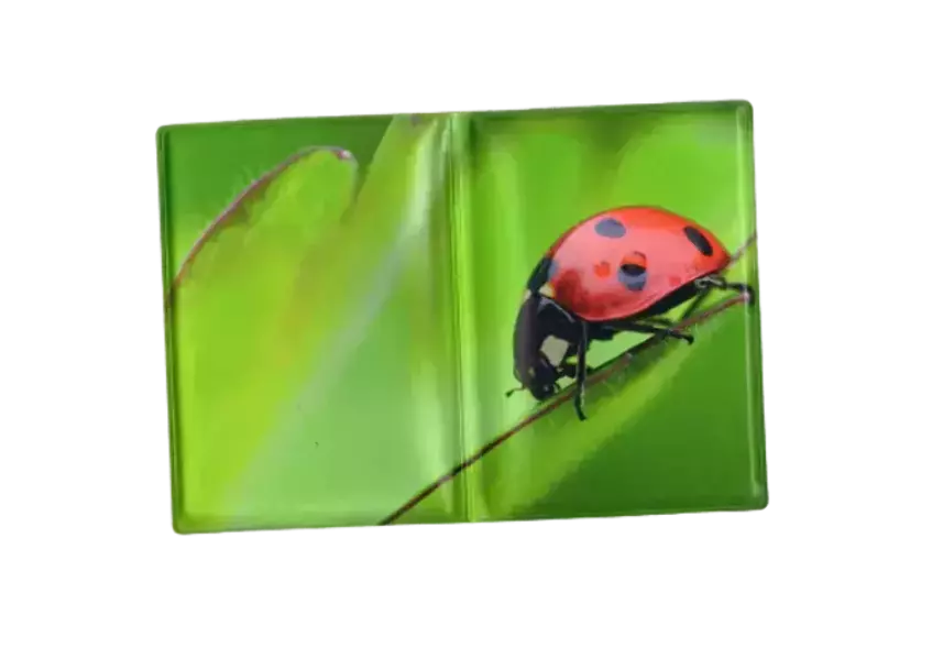 Обложка для паспорта “Божья коровка”, фото 2