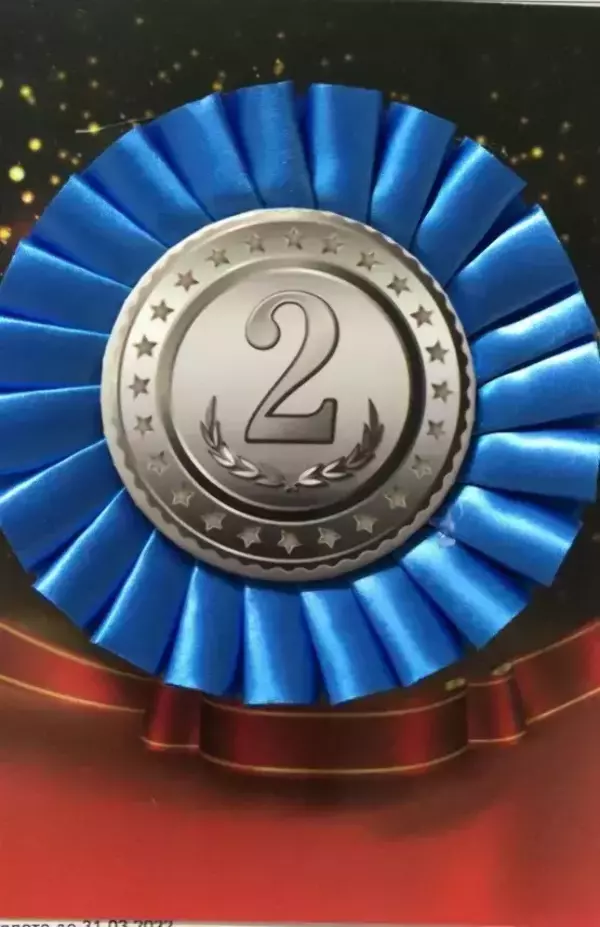 Почетный значок 2 место
