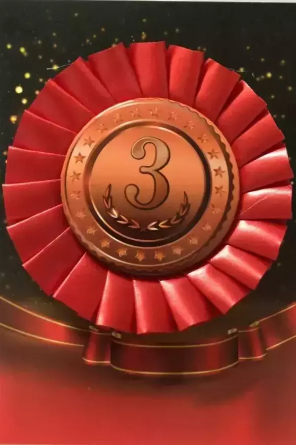 Почетный значок 3 место