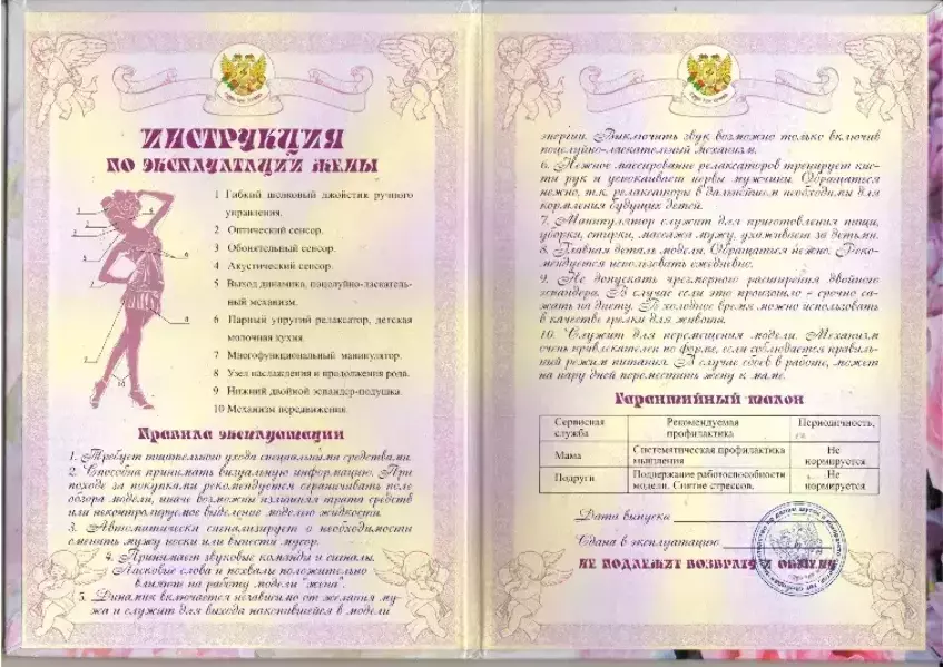 Свадебный диплом, Инструкция по эксплуатации жены  (папка адресная 21 × 15 × 0,4 см), фото 2