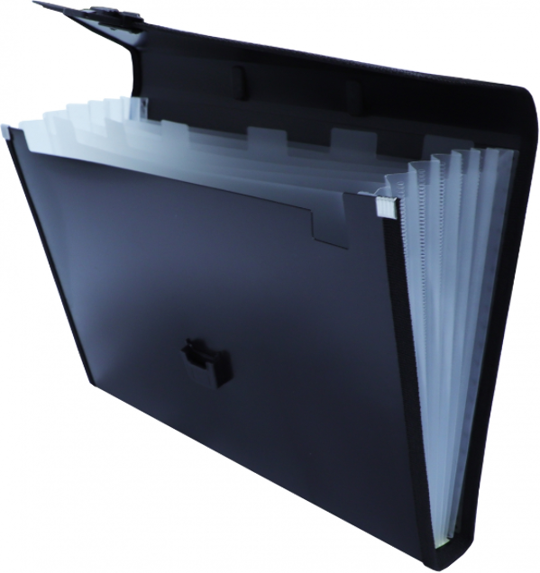 Портфель-картотека 12 отделений (синий), фото 2