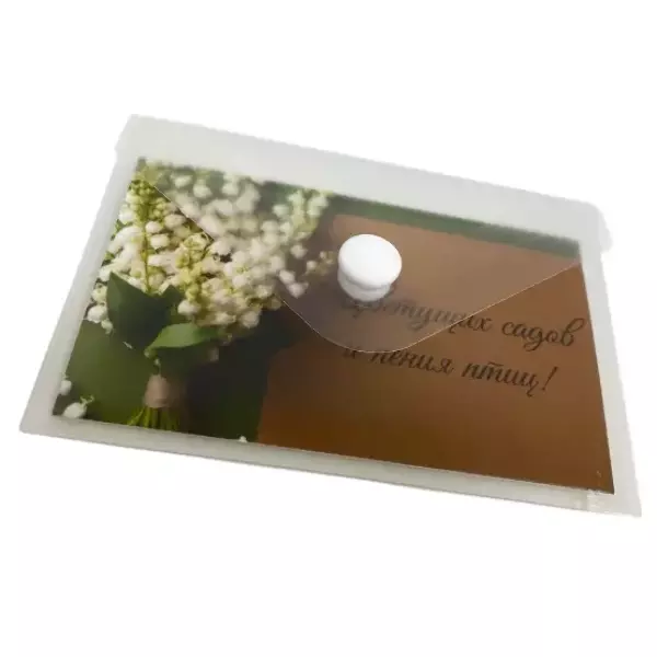 Конверт на кнопке А7 бесцветный (10шт), фото 3