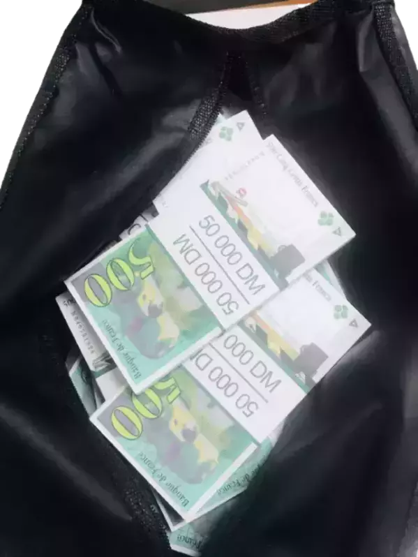 Сумка с деньгами 500 французских франков, фото 2