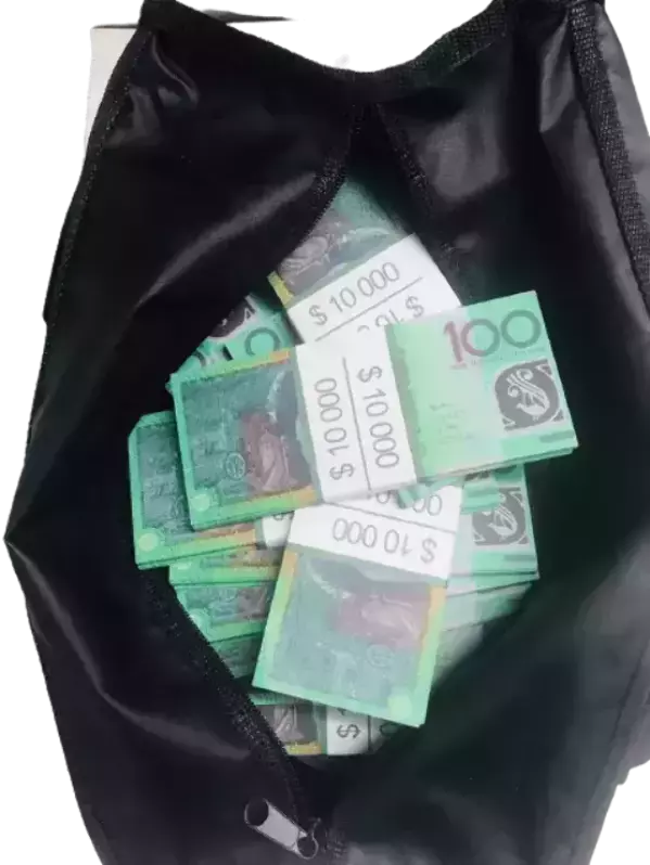 Сумка с деньгами 100 австралийских долларов, фото 2