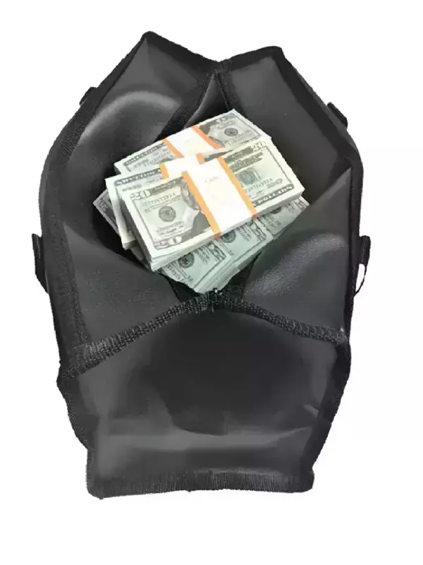 Сумка с деньгами 20 долларов