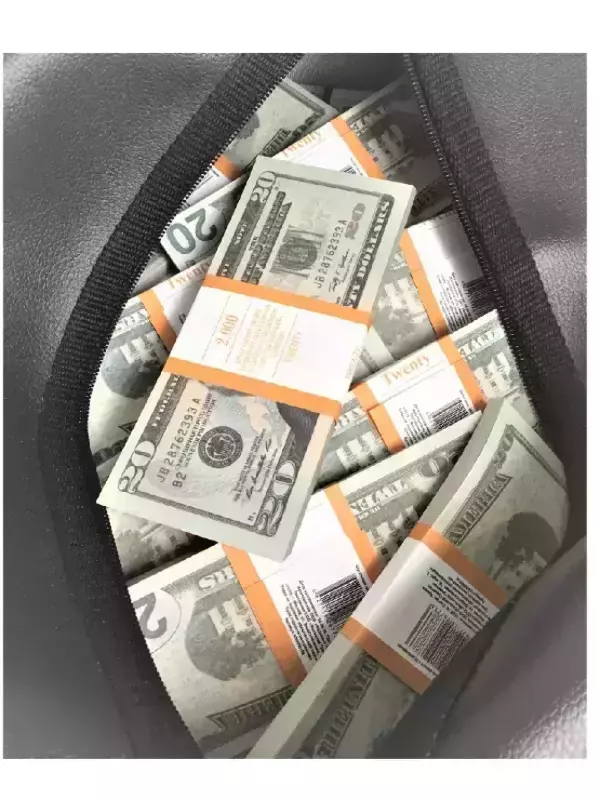 Сумка с деньгами 20 долларов, фото 2