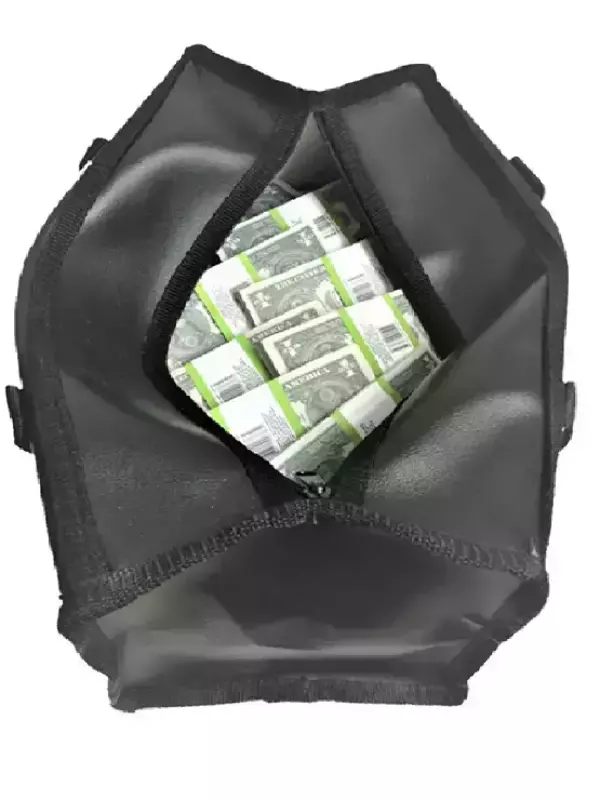 Сумка с деньгами 1 доллар