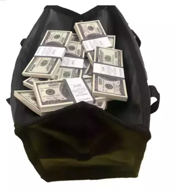 Сумка с деньгами 100 долларов