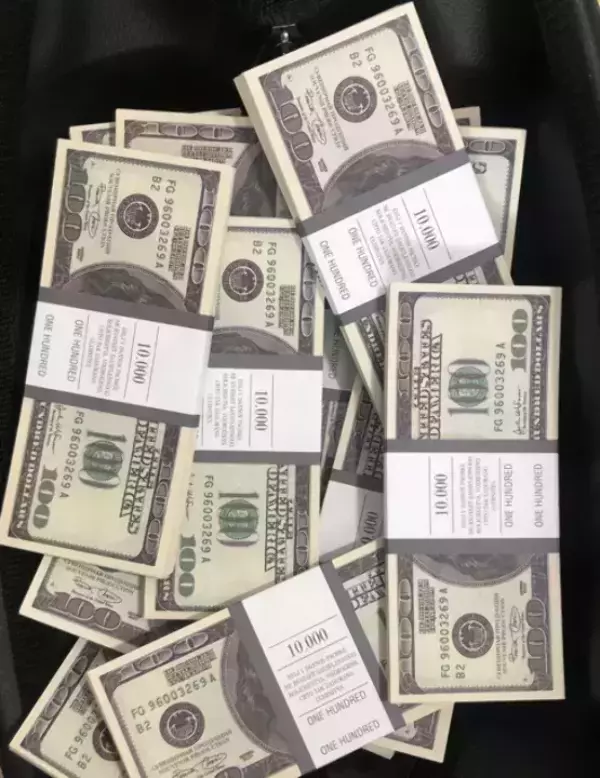 Сумка с деньгами 100 долларов, фото 2