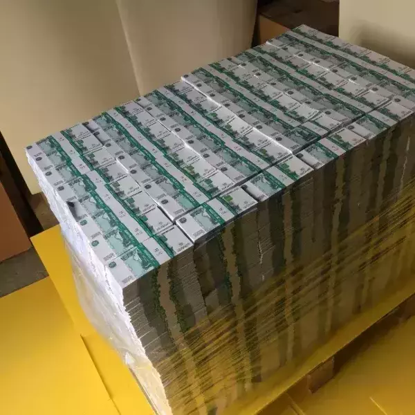 Паллета с деньгами “4 000 000 рублей” (номинал 1000₽), фото 2