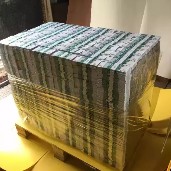 Паллета с деньгами “4 000 000 рублей” (номинал 1000₽), фото 3
