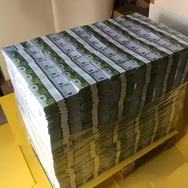 Паллета с деньгами “400 000 евро” (номинал 100€), фото 2