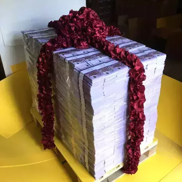 Паллета с деньгами “2 000 000 евро” (номинал 500€)