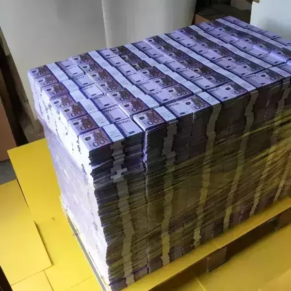 Паллета с деньгами “2 000 000 евро” (номинал 500€), фото 2