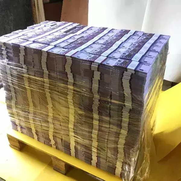 Паллета с деньгами “2 000 000 евро” (номинал 500€), фото 3