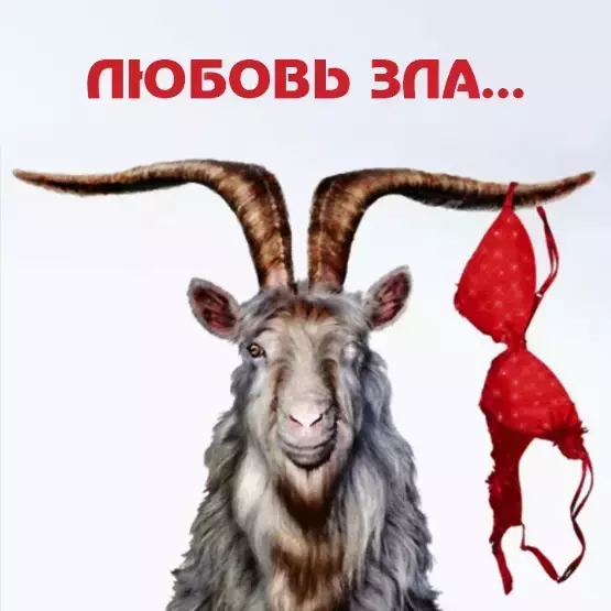 Презерватив Любовь зла