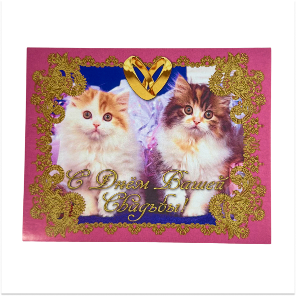 Наклейка на бутылку “С днем вашей свадьбы” (котики) уп. 20 шт. (95х120)