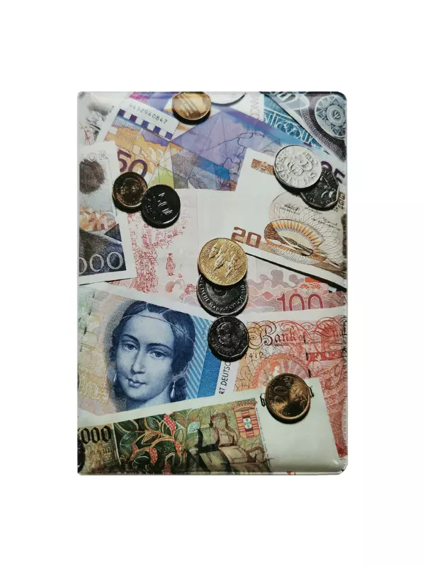 Обложка для паспорта “Купюры с монетами”