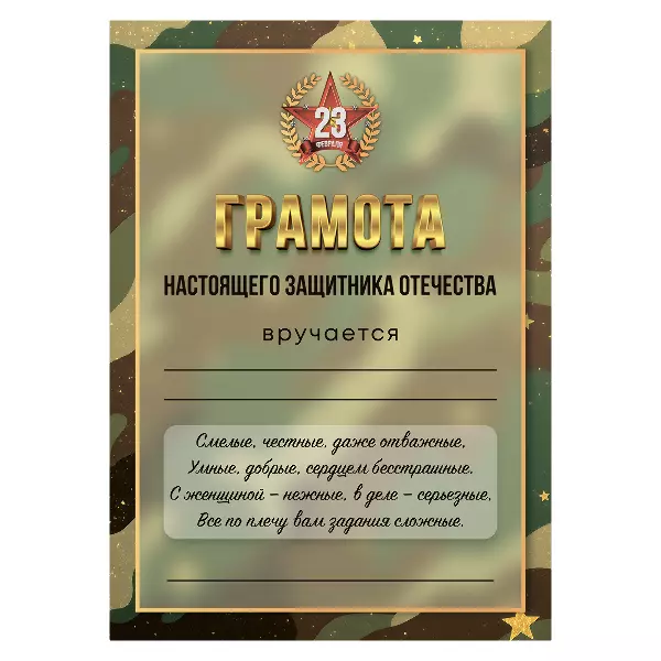 Грамота Настоящего защитника отечества, фото 1
